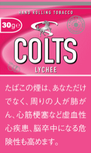 小俊马 荔枝